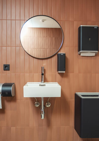 Fusion washroom